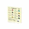 Calendrier de l'Avent café 2021 Nespresso Friends