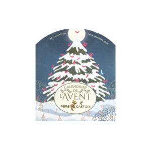 Calendrier de l'avent père castor livre