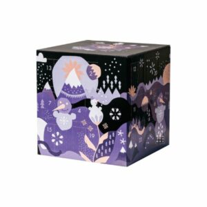Calendrier de l'Avent mymuesli Porridges 2022