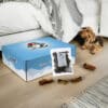 Calendrier de l'Avent pour Chien 2024 Cani-Gourmand contenant 24 friandises naturelles pour chiens