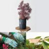 Calendrier de l'Avent mon petit coin vert 2022 graines jardin