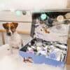 Calendrier de l'Avent pour Chien 2024 Cani-Gourmand contenant 24 friandises naturelles pour chiens