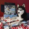 Calendrier de l'Avent pour Chien 2024 Cani-Gourmand contenant 24 friandises naturelles pour chiens