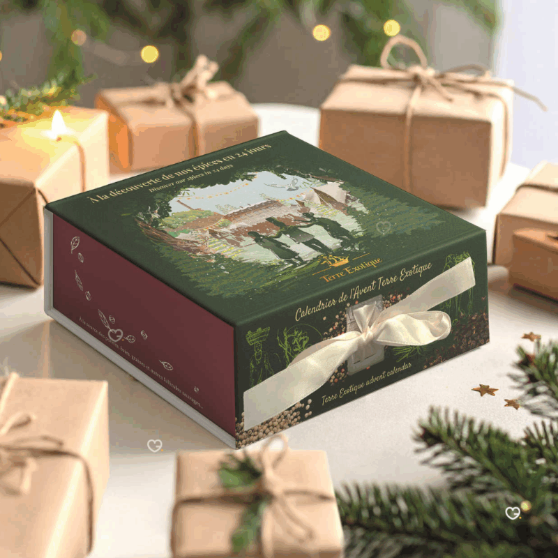 Calendrier de l’Avent Terre exotique 2025 contenant 24 épices et mélanges du monde, coffret illustré festif pour gastronomes et gourmand curieux.