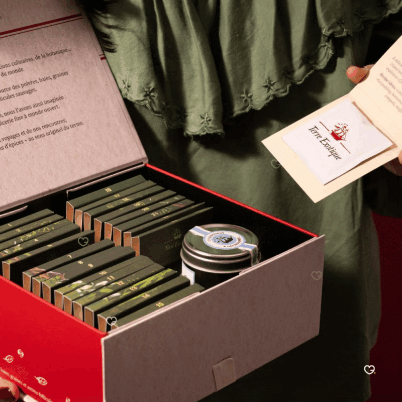 Calendrier de l’Avent Terre exotique 2025 contenant 24 épices et mélanges du monde, coffret illustré festif pour gastronomes et gourmand curieux.