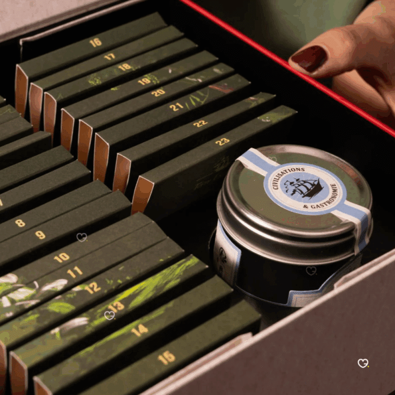 Calendrier de l’Avent Terre exotique 2025 contenant 24 épices et mélanges du monde, coffret illustré festif pour gastronomes et gourmand curieux.