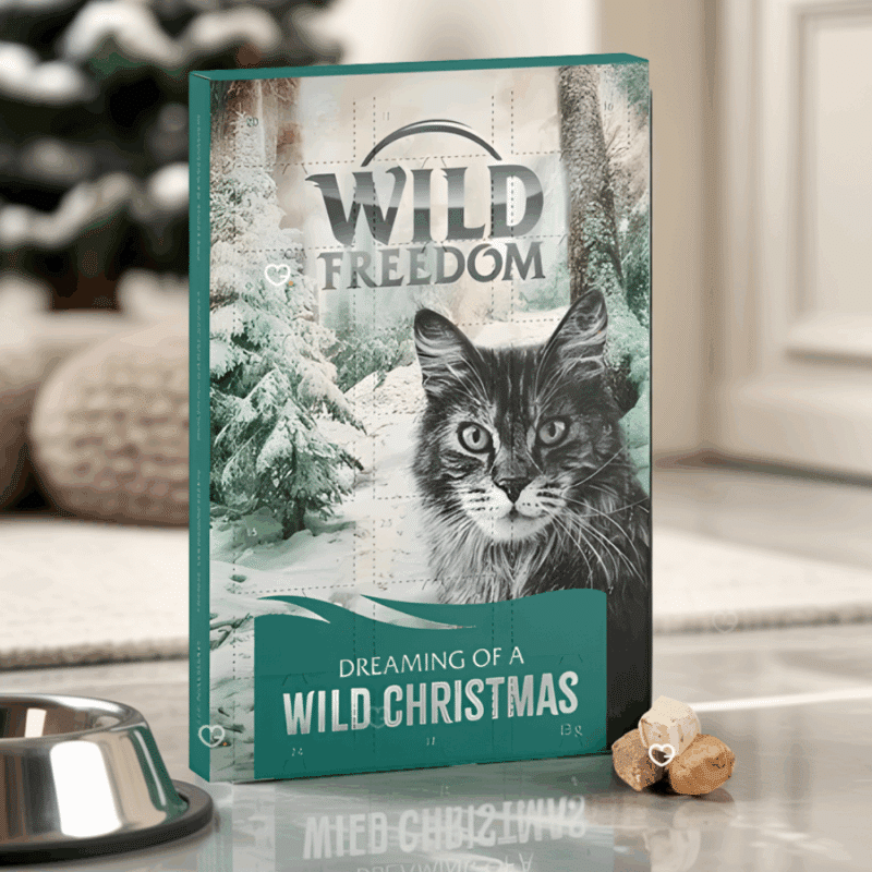 calendrier de l'avent pour chat wild freedom 2025 avec 3 recettes de friandises pour chats