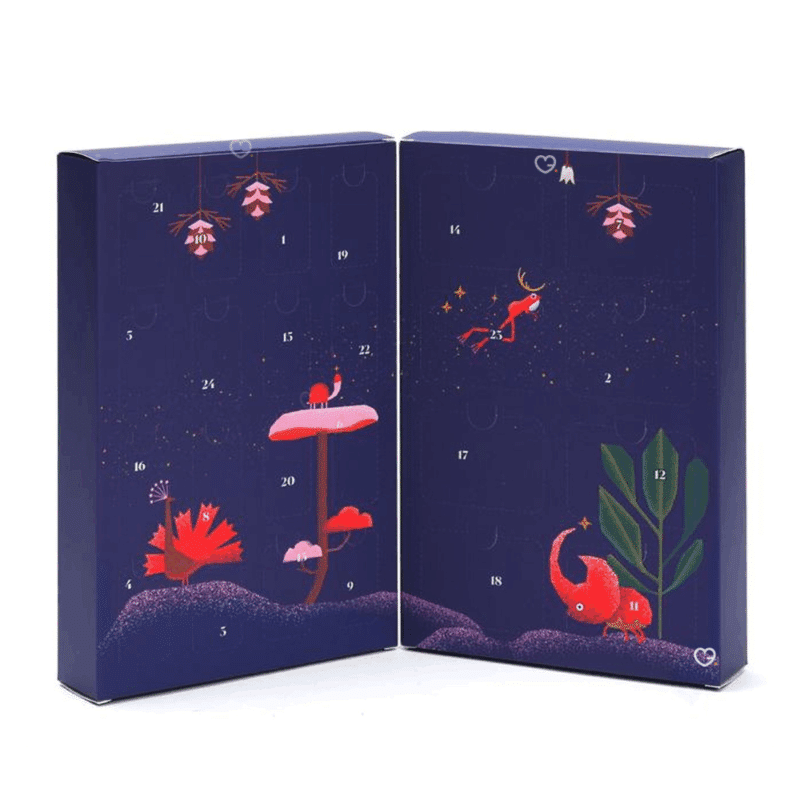 Calendrier de l’Avent Lithothérapie 2025 avec 24 pierres naturelles et minéraux comme améthyste et quartz rose, idéal pour adultes amateurs de bien-être