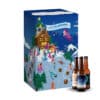 Calendrier de l'Avent Bière Find a bottle 2024 bières artisanales IPA