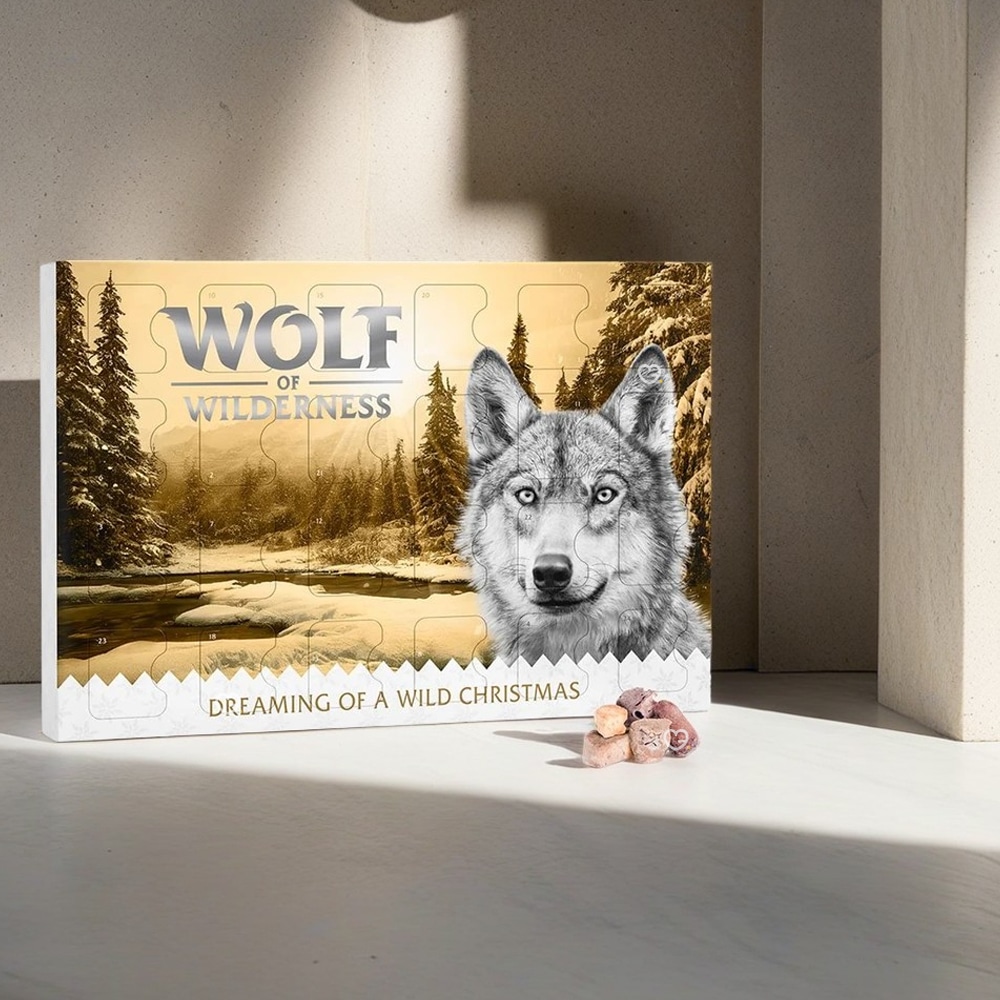 10+ Meilleurs Calendrier De L