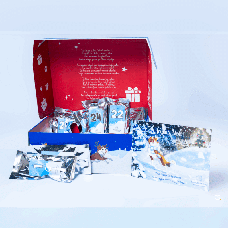 Calendrier de l’Avent pour chien 2025 caniGourmand avec 24 friandises naturelles en 8 saveurs, cadeau festif et gourmand pour chiens.