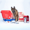 Calendrier de l’Avent pour chien 2025 caniGourmand avec 24 friandises naturelles en 8 saveurs, cadeau festif et gourmand pour chiens.
