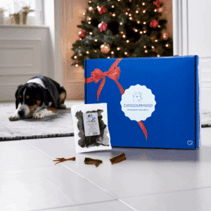 Calendrier de l’Avent pour chien 2025 caniGourmand avec 24 friandises naturelles en 8 saveurs, cadeau festif et gourmand pour chiens.