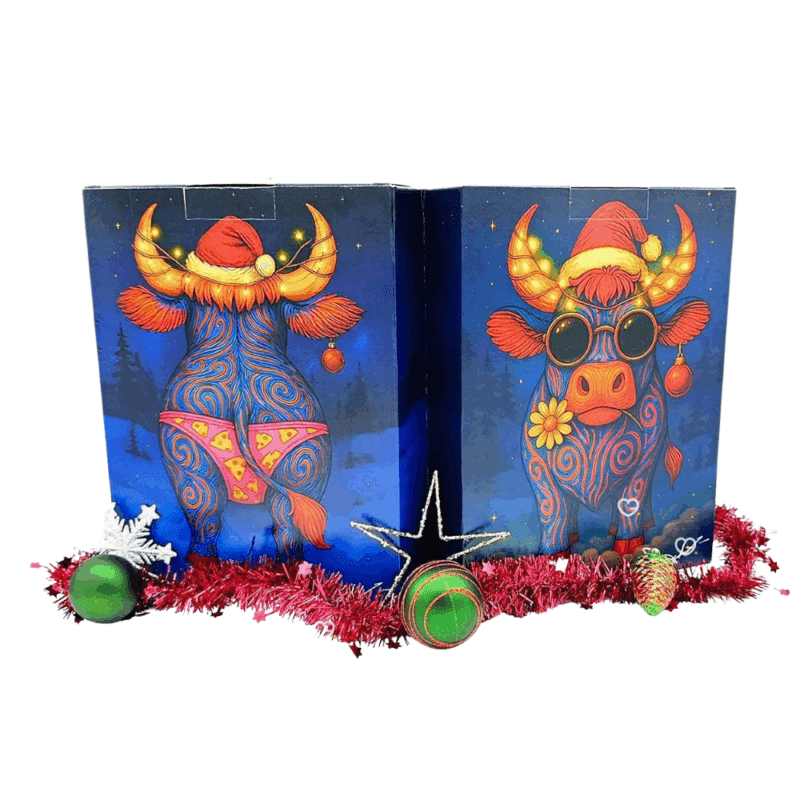 Calendrier de l Avent Fromage Dominique Bouchait 2025 contenant 24 fromages artisanaux de 50g idéal pour gourmand