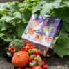 Calendrier de l’Avent Potager 2025 de Dr Jonquillet et Mr Ail avec 26 sachets de semences bio variées, cadeau original et durable pour adulte, homme femme passionnés de jardinage.