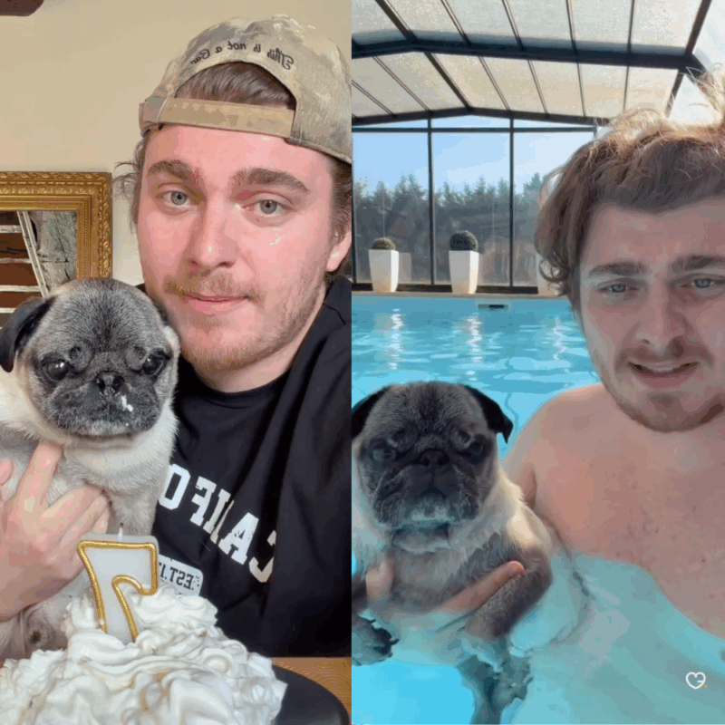 Calendrier de l’Avent Albert by Cyril 2025 avec 24 ornements à suspendre, jouet et décoratif pour enfant et famille pour ambiance humoristique