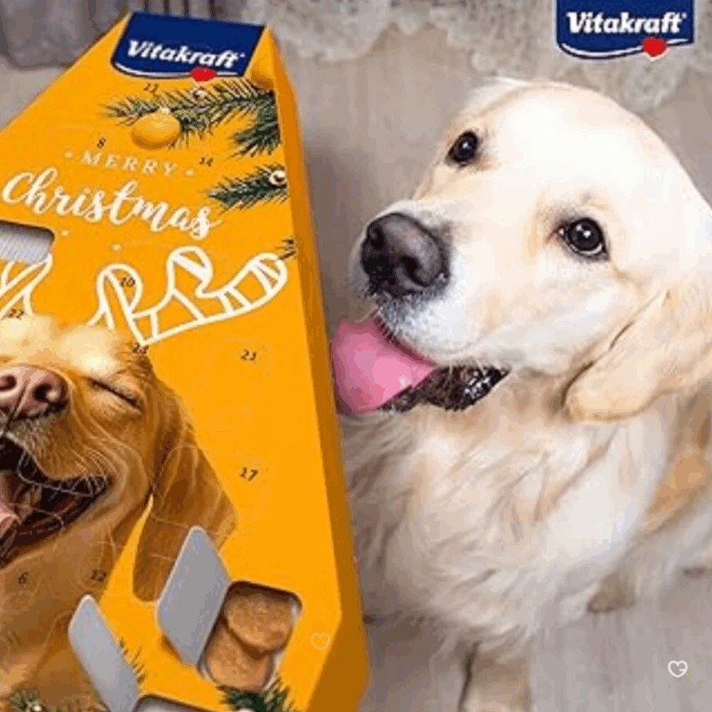Calendrier de l’Avent Vitakraft Chien 2025 avec 24 friandises saines aux saveurs variées, coffret festif pour propriétaires de chiens.