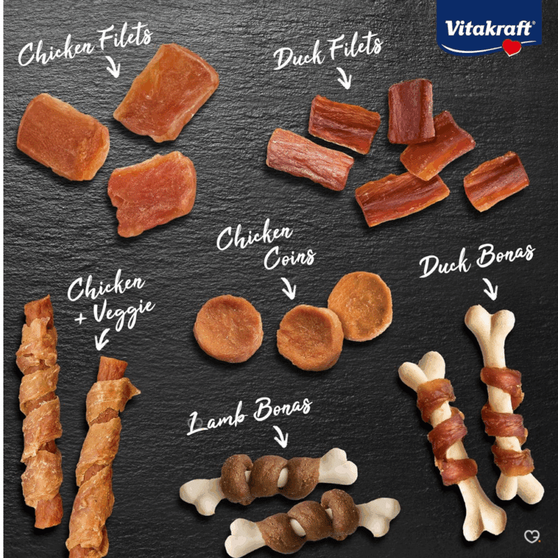 Calendrier de l’Avent Vitakraft Chien 2025 avec 24 friandises saines aux saveurs variées, coffret festif pour propriétaires de chiens.
