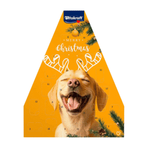 Calendrier de l’Avent Vitakraft Chien 2025 avec 24 friandises saines aux saveurs variées, coffret festif pour propriétaires de chiens.