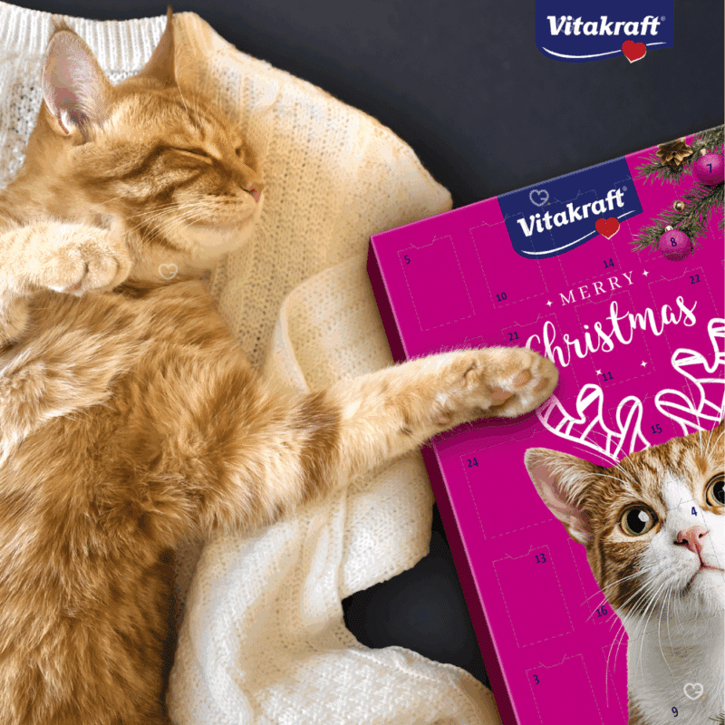 Calendrier de l’Avent pour chat Vitakraft 2025 avec 24 friandises liquides au saumon et autres saveurs naturelles, idéal pour gâter son chat à Noël.