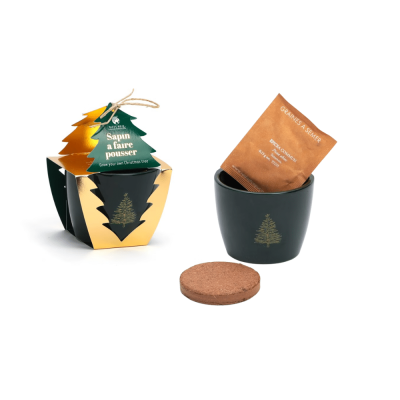 idee cadeau santa secret collegue sapin faire pousser